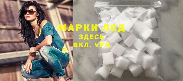 стафф Каменногорск