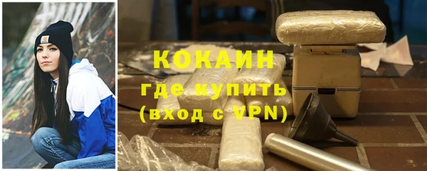 стафф Каменногорск