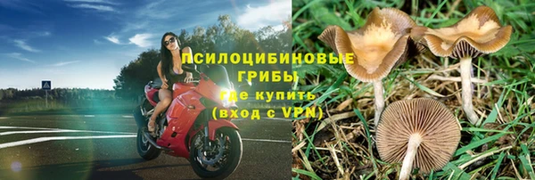 jwh Каменск-Шахтинский
