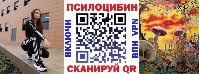 Псилоцибиновые грибы мицелий  закладка  Назрань 
