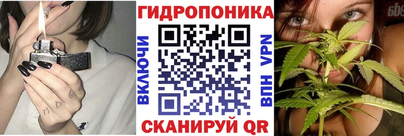 Конопля VHQ  Назрань 